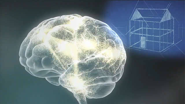 Experiences Build Brain Architecture<br>経験が脳の構造を作る